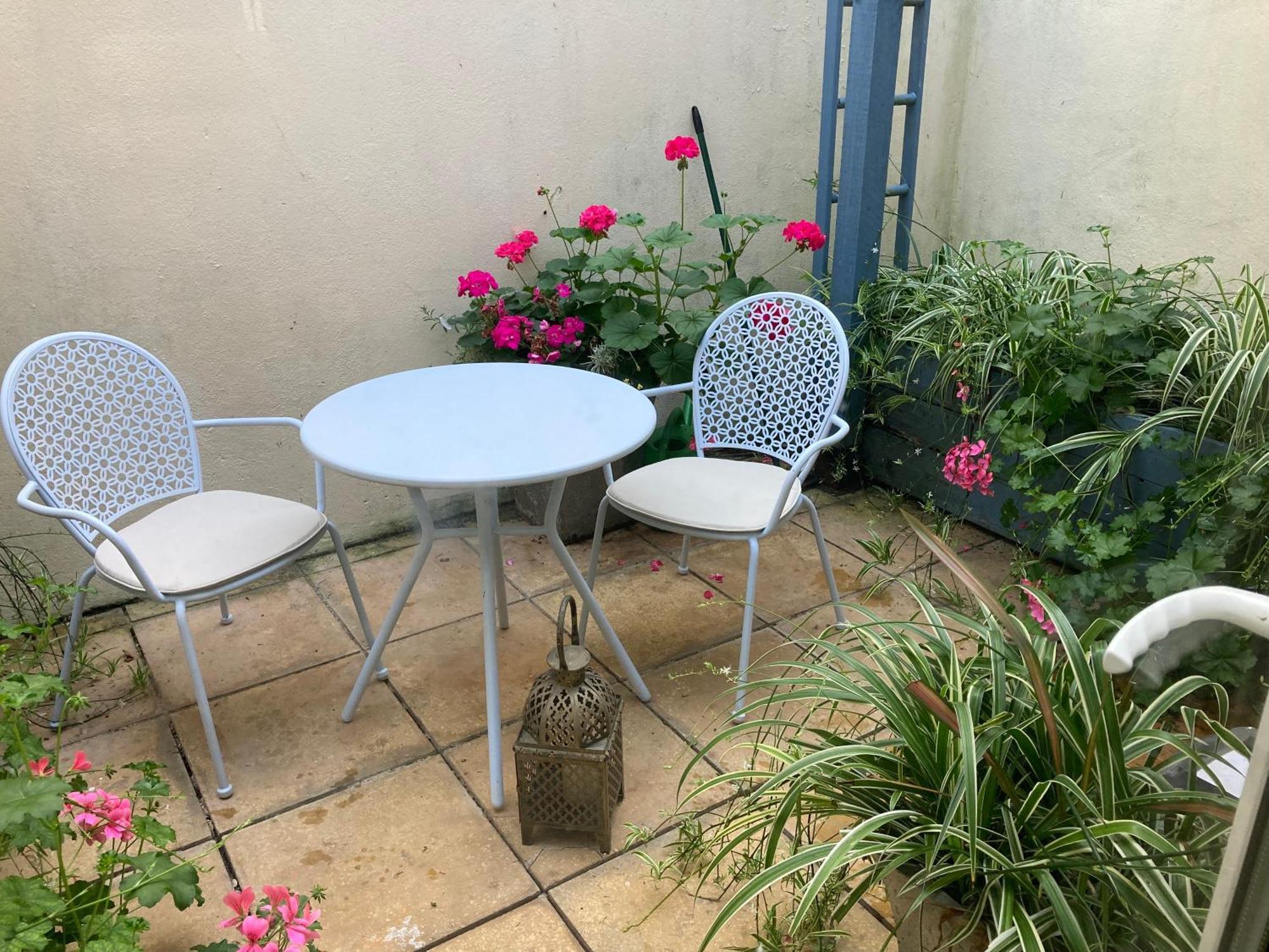 Beautiful Seaside One Bedroom Apartment Shaldon Eksteriør billede
